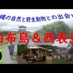 Thumbnail of related posts 177