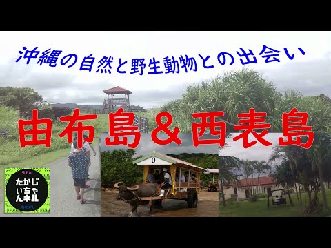 Thumbnail of post image 065