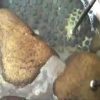 Thumbnail of related posts 058