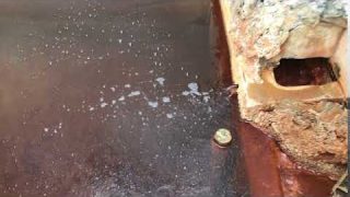 Thumbnail of post image 029