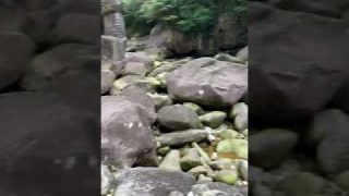 Thumbnail of post image 012