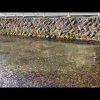 Thumbnail of related posts 168