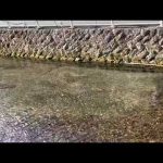 Thumbnail of related posts 064