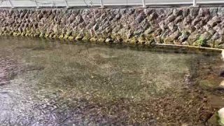 Thumbnail of post image 035