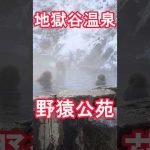 Thumbnail of related posts 020