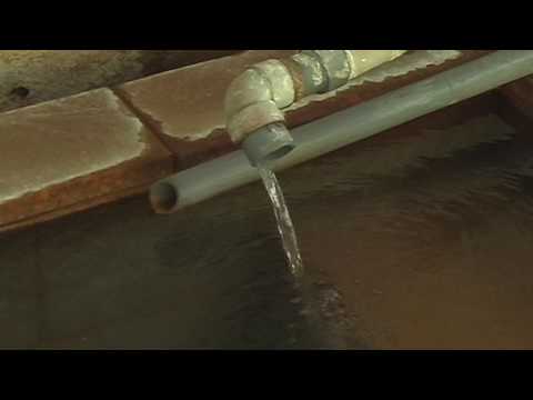 Thumbnail of post image 016