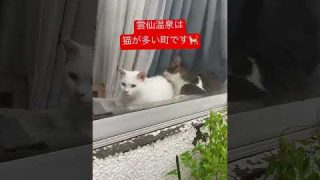 Thumbnail of post image 120