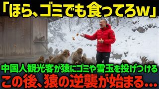 Thumbnail of post image 179