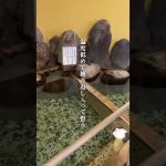 Thumbnail of related posts 186