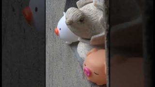 Thumbnail of post image 020