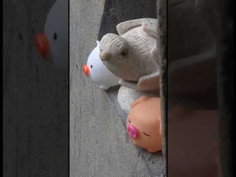 Thumbnail of post image 097