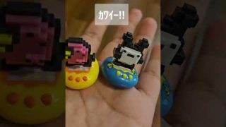 Thumbnail of post image 077