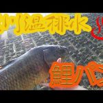 Thumbnail of related posts 112