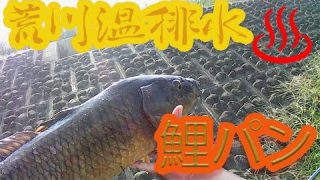 Thumbnail of post image 019