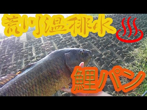 Thumbnail of post image 177