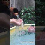 Thumbnail of related posts 045