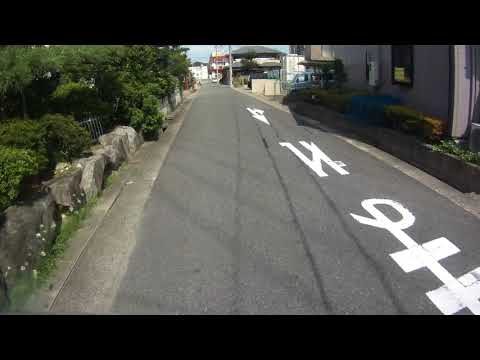 Thumbnail of post image 196