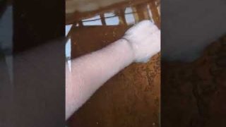 Thumbnail of post image 179