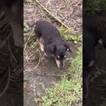 Thumbnail of related posts 069