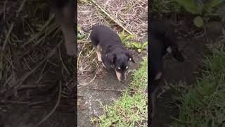 Thumbnail of post image 008