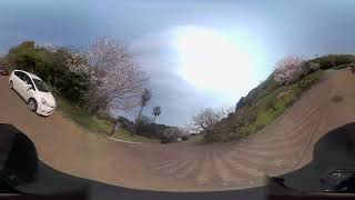 Thumbnail of post image 177