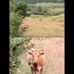 Thumbnail of related posts 074