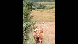 Thumbnail of post image 051