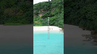 Thumbnail of post image 103