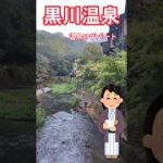 Thumbnail of related posts 173